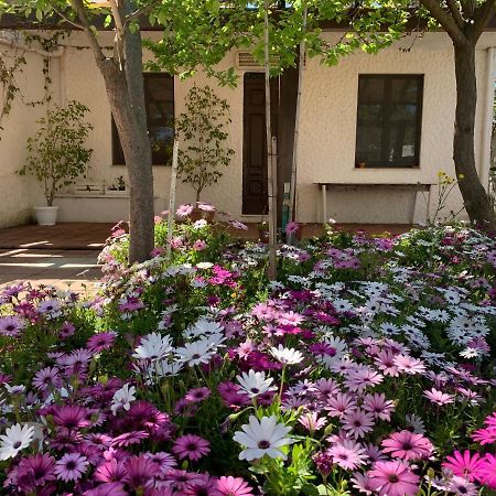 Вілла Casa Tranquilla A Pochissimi Passi Dal Mare Sant'Andrea  Екстер'єр фото