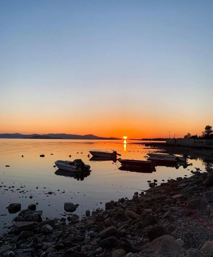 Вілла Casa Tranquilla A Pochissimi Passi Dal Mare Sant'Andrea  Екстер'єр фото